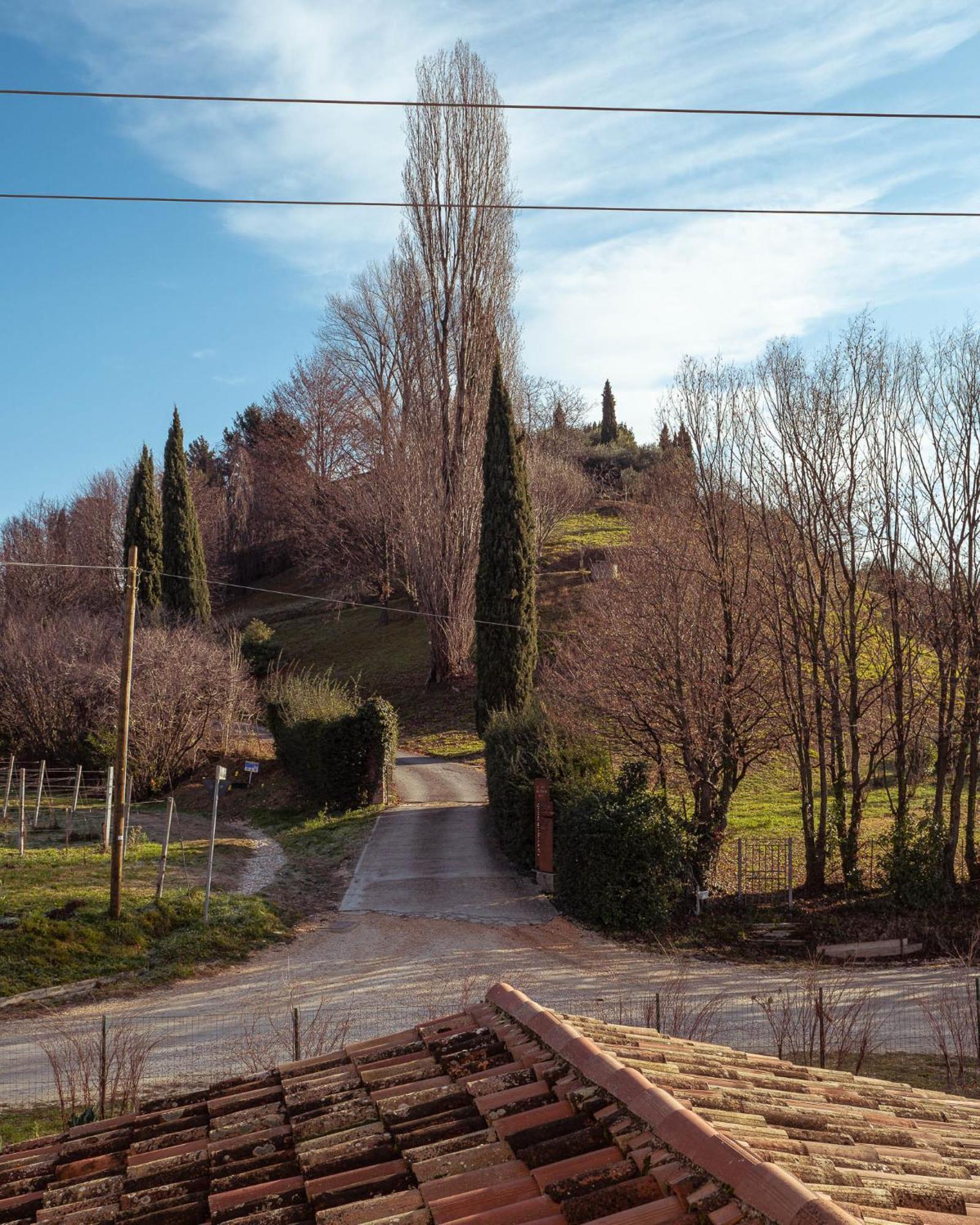 Agriturismo La Vigna Di Sarah Вітторіо-Венето Екстер'єр фото